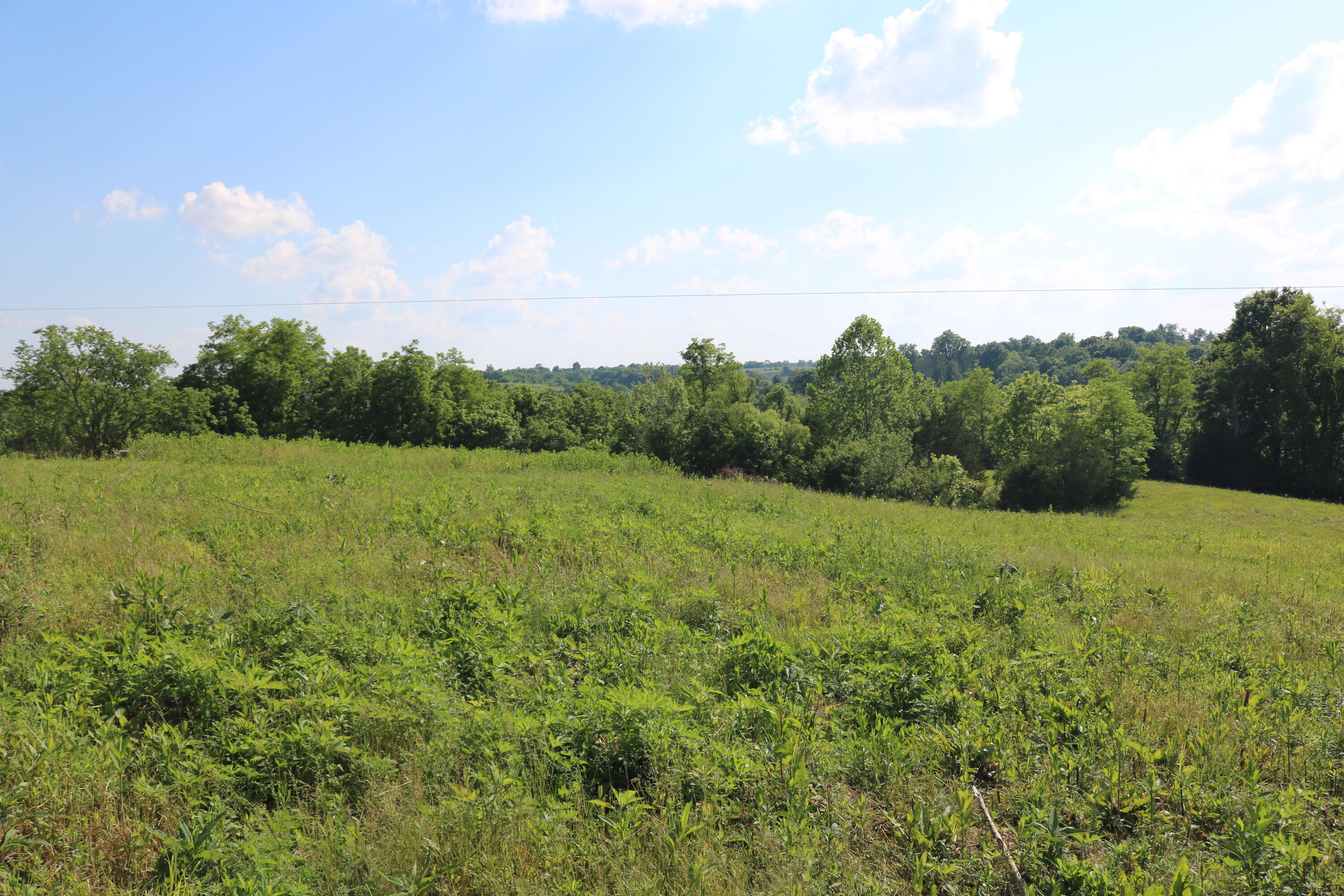 2276 Upper Lick Road Moorefield, KY 40350 - Photo 11 of 28 IMG_3819