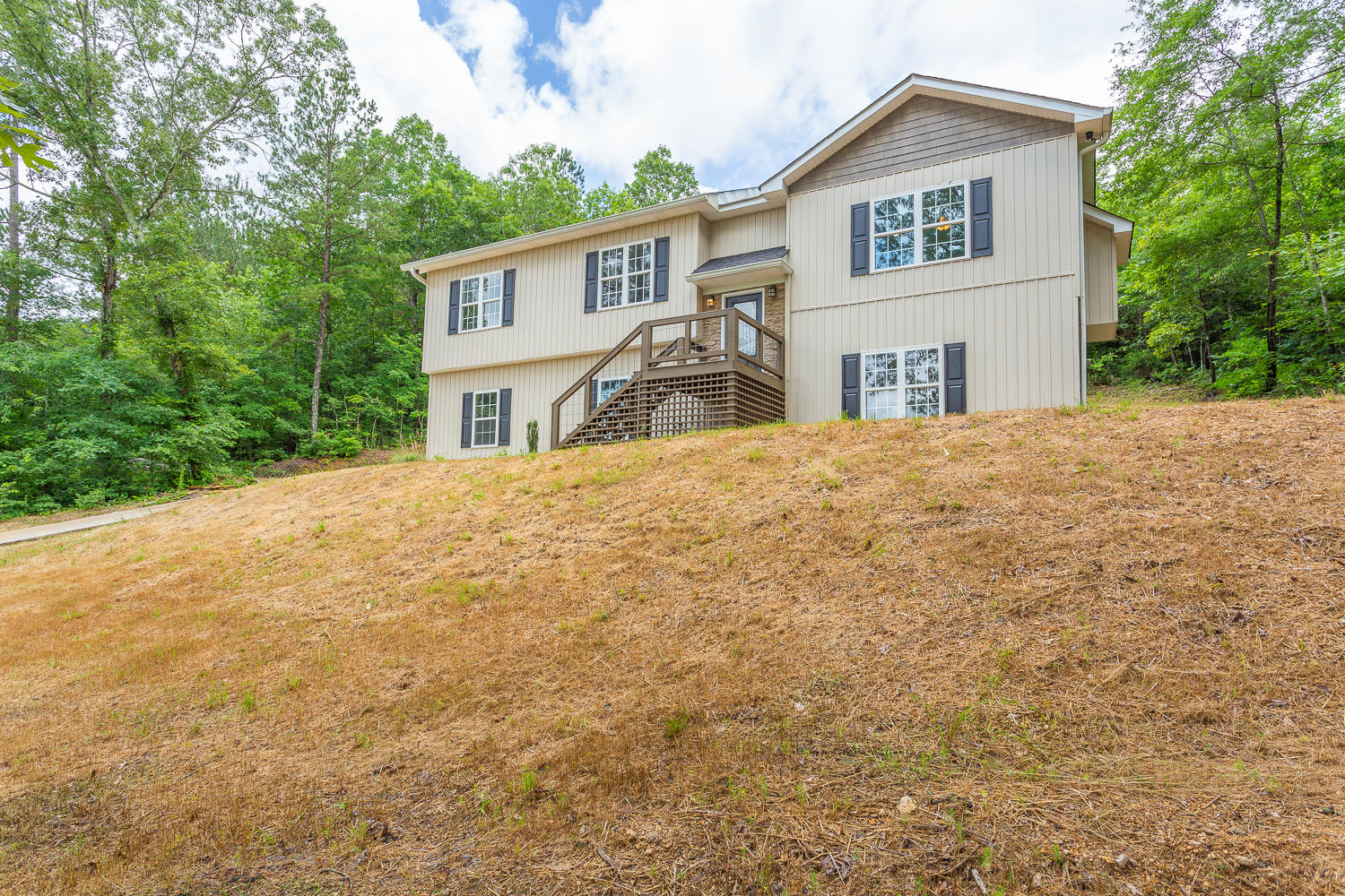 1081 Williams Road Summerville, GA 30747 - Photo 4 of 42 Williams Road HD -4