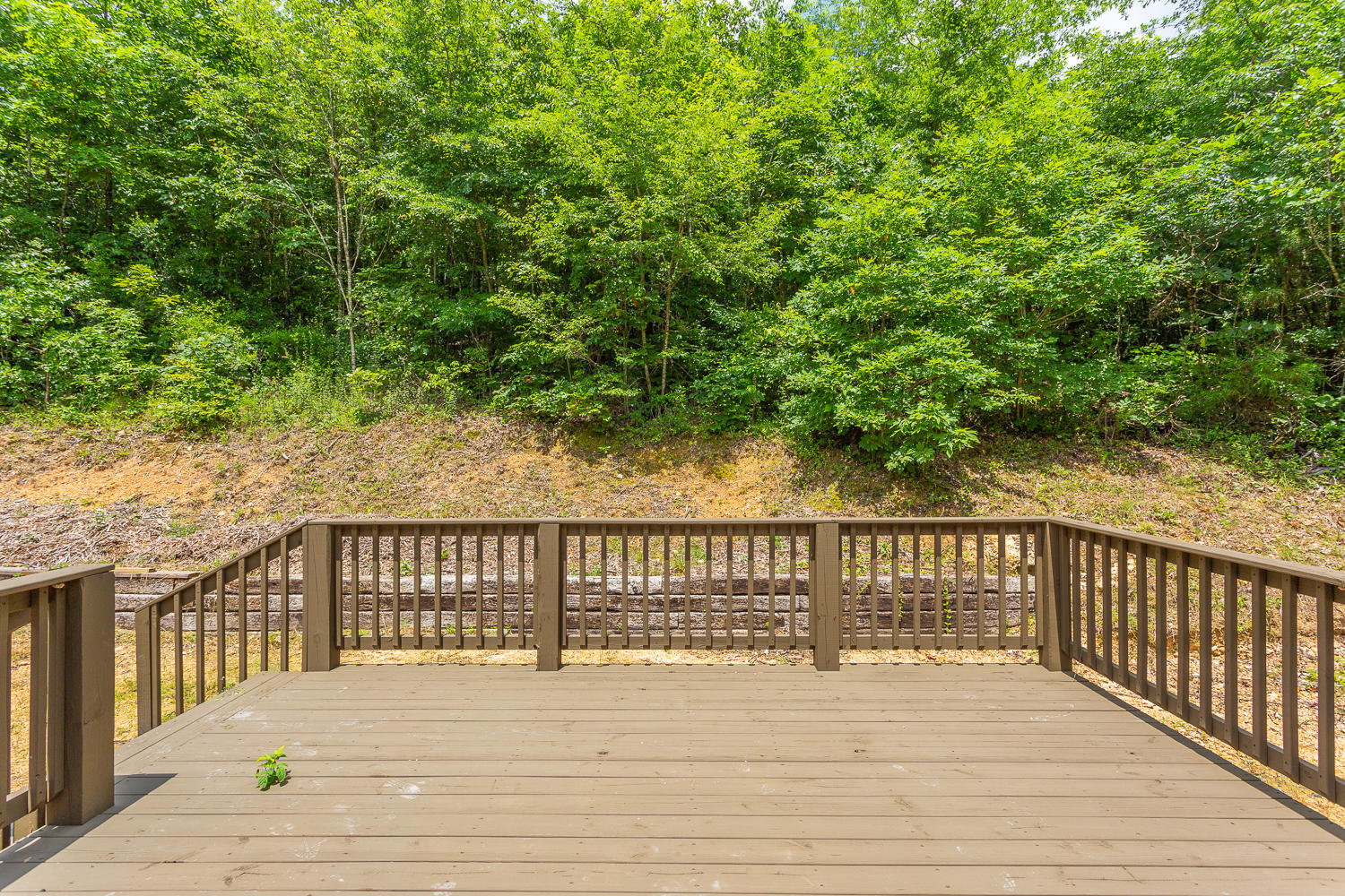 1081 Williams Road Summerville, GA 30747 - Photo 41 of 42 Williams Road HD -9