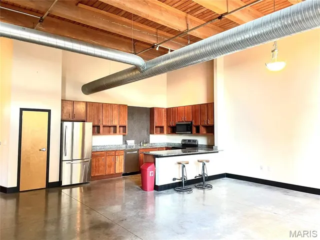 $1,450 | 1113 Washington Avenue, Unit 218, St. Louis, MO 63101