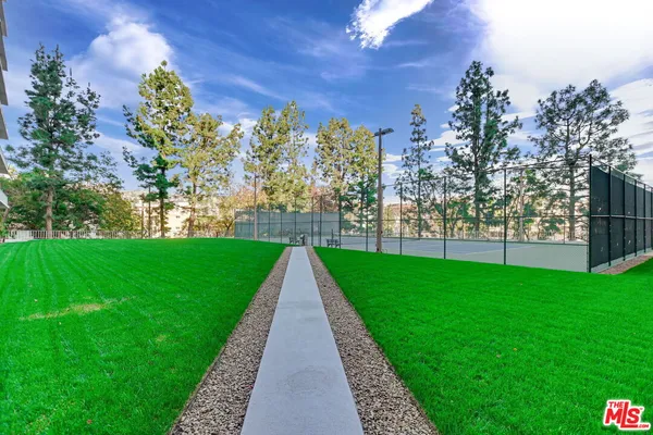 a view of a park with a large trees