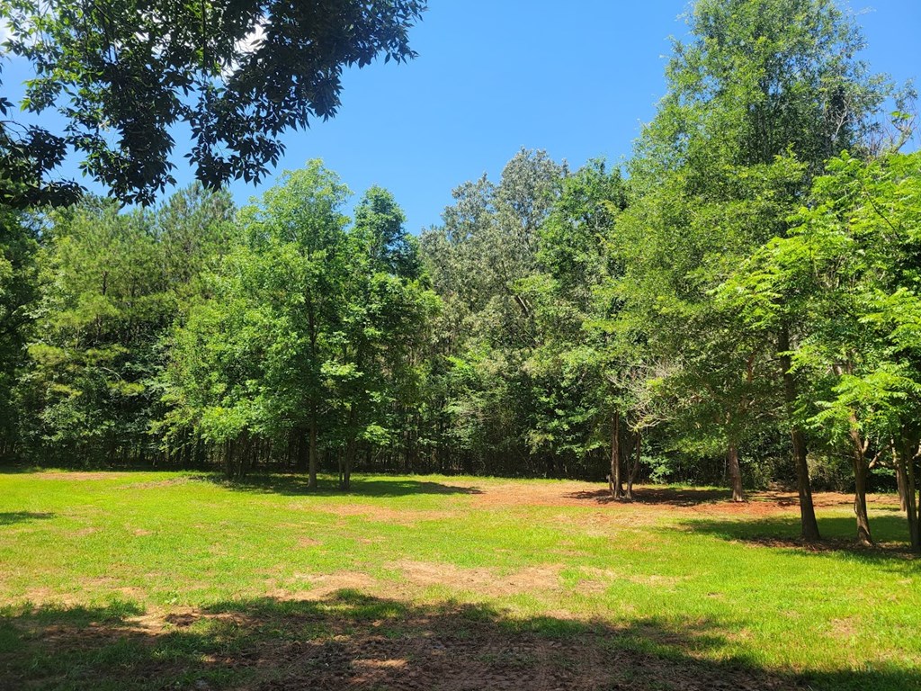 1114 Reedy Creek Road Bradley, SC 29819 - Photo 44 of 59