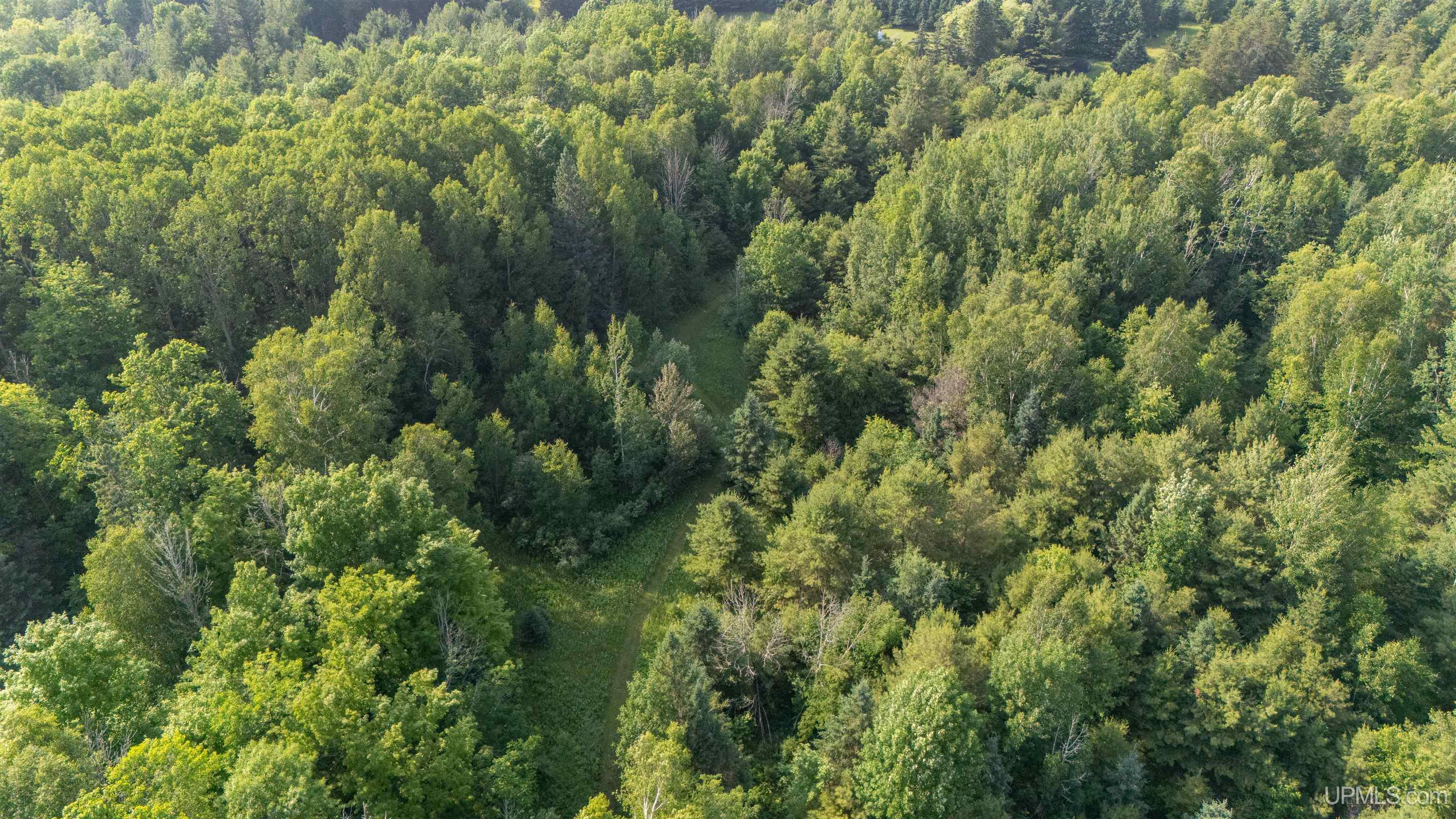 2694 N River Road Gulliver, MI 49840 - Photo 50 of 59