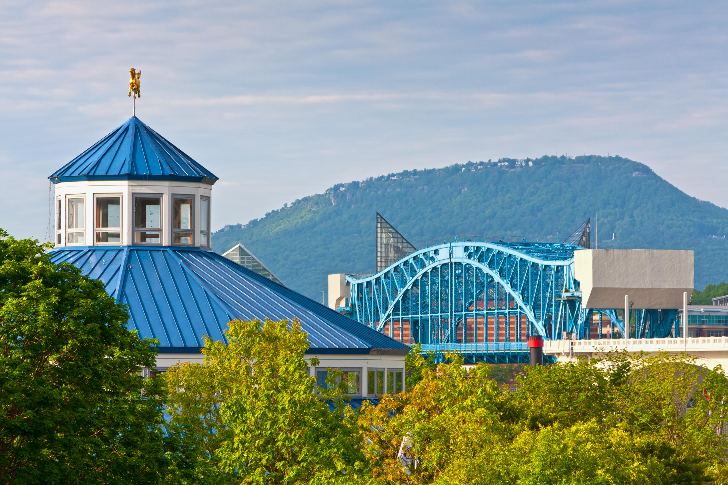 554 Whitehall Road, Unit 120 Chattanooga, TN 37405 - Photo 7 of 8 shutterstock_100807873