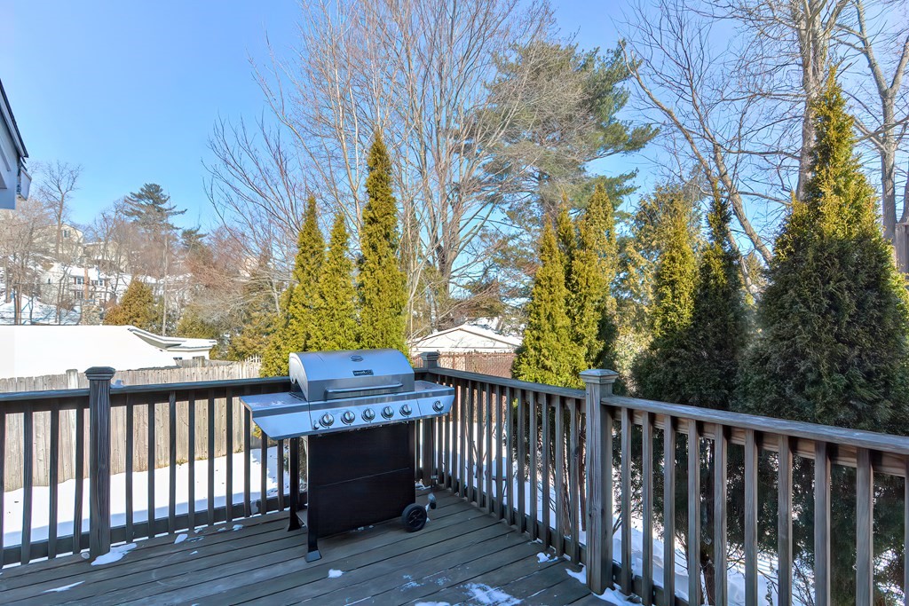241 College Farm Road Waltham, MA 02451 - Photo 36 of 39 Gallery Image 36