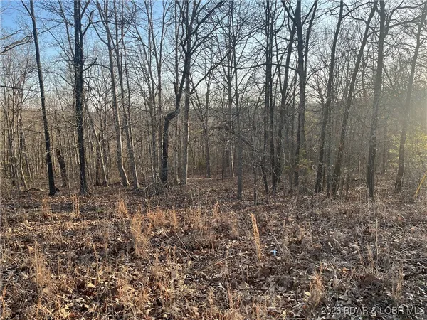 $59,900 | 7 North Camdenton Mo 65020, Camdenton, MO 65020
