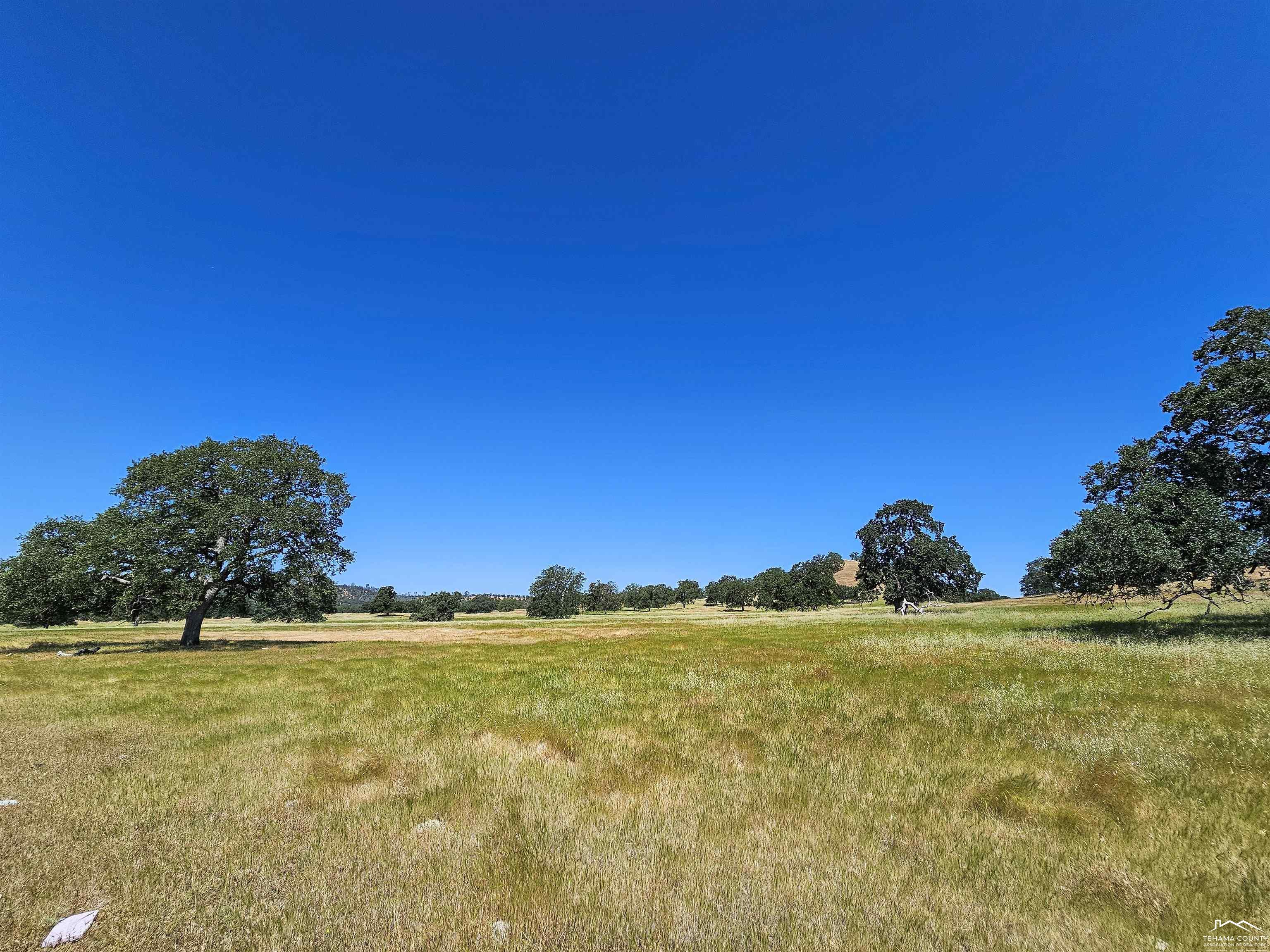 0 Jellys Ferry Road Red Bluff, CA 96080 - Photo 15 of 24 Gallery Image 15