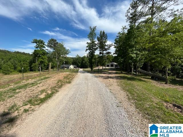 8134 Clairmont Springs Road Lineville, AL 36266 - Photo 12 of 36