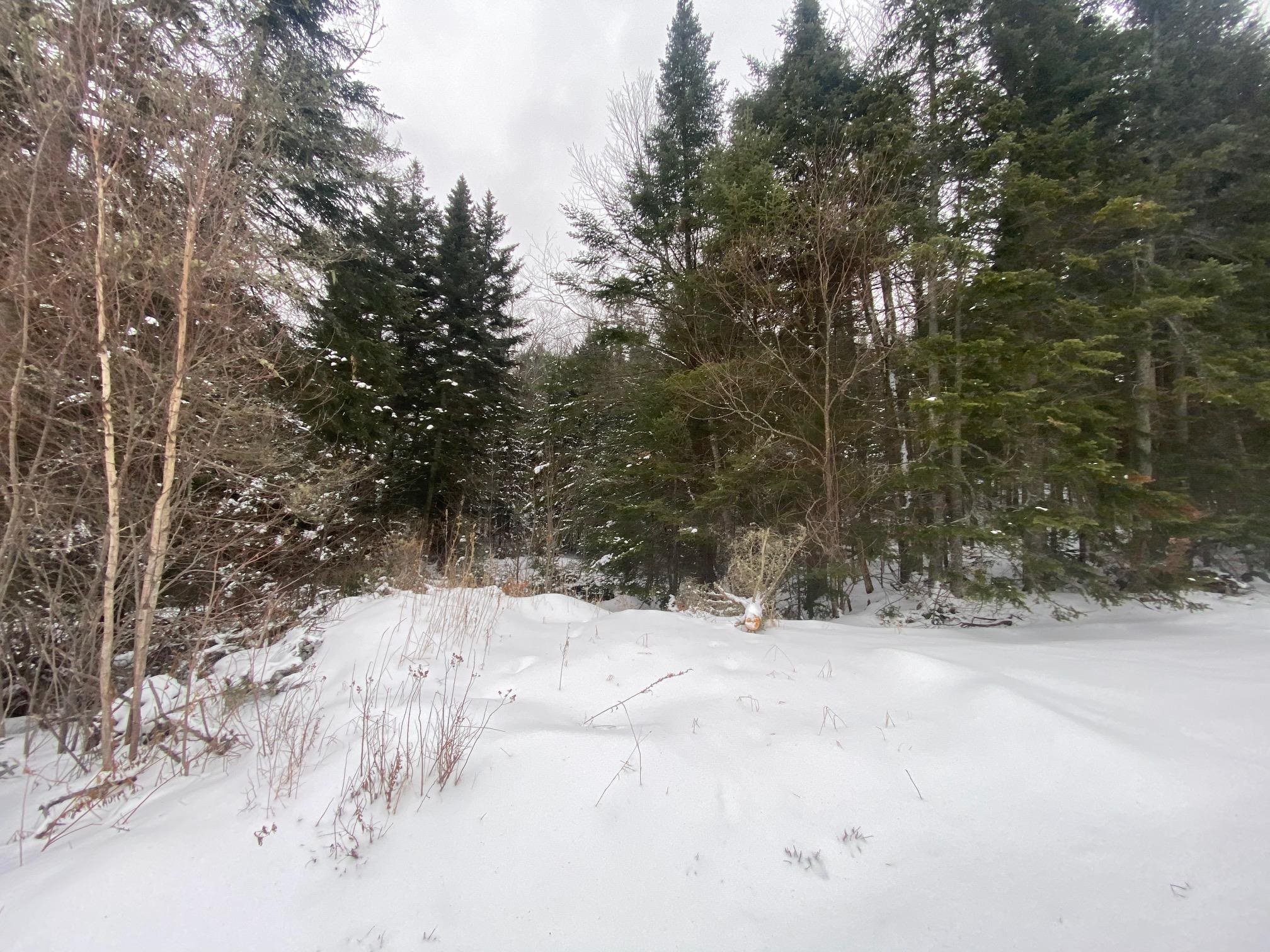 - East Road Stewartstown, NH 03576 - Photo 4 of 9