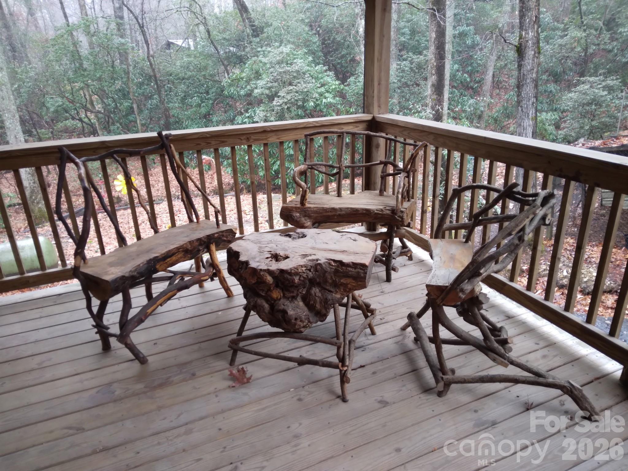 1694 Humpback Mountain Road Spruce Pine, NC 28777 - Photo 20 of 25