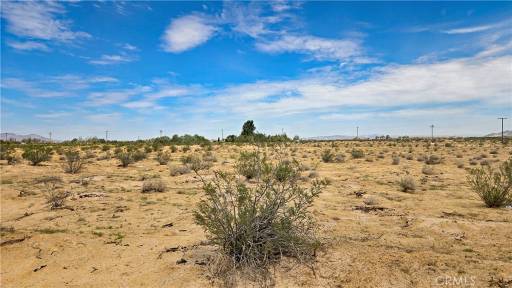0 Fremont Road Newberry Springs, CA 92365 - Photo 19 of 33 Gallery Image 19