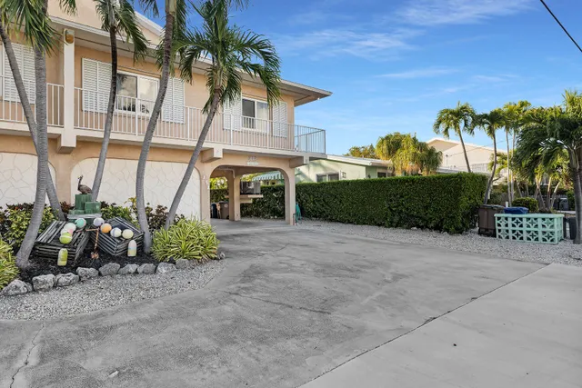 a view of a yard with a chair and palm trees