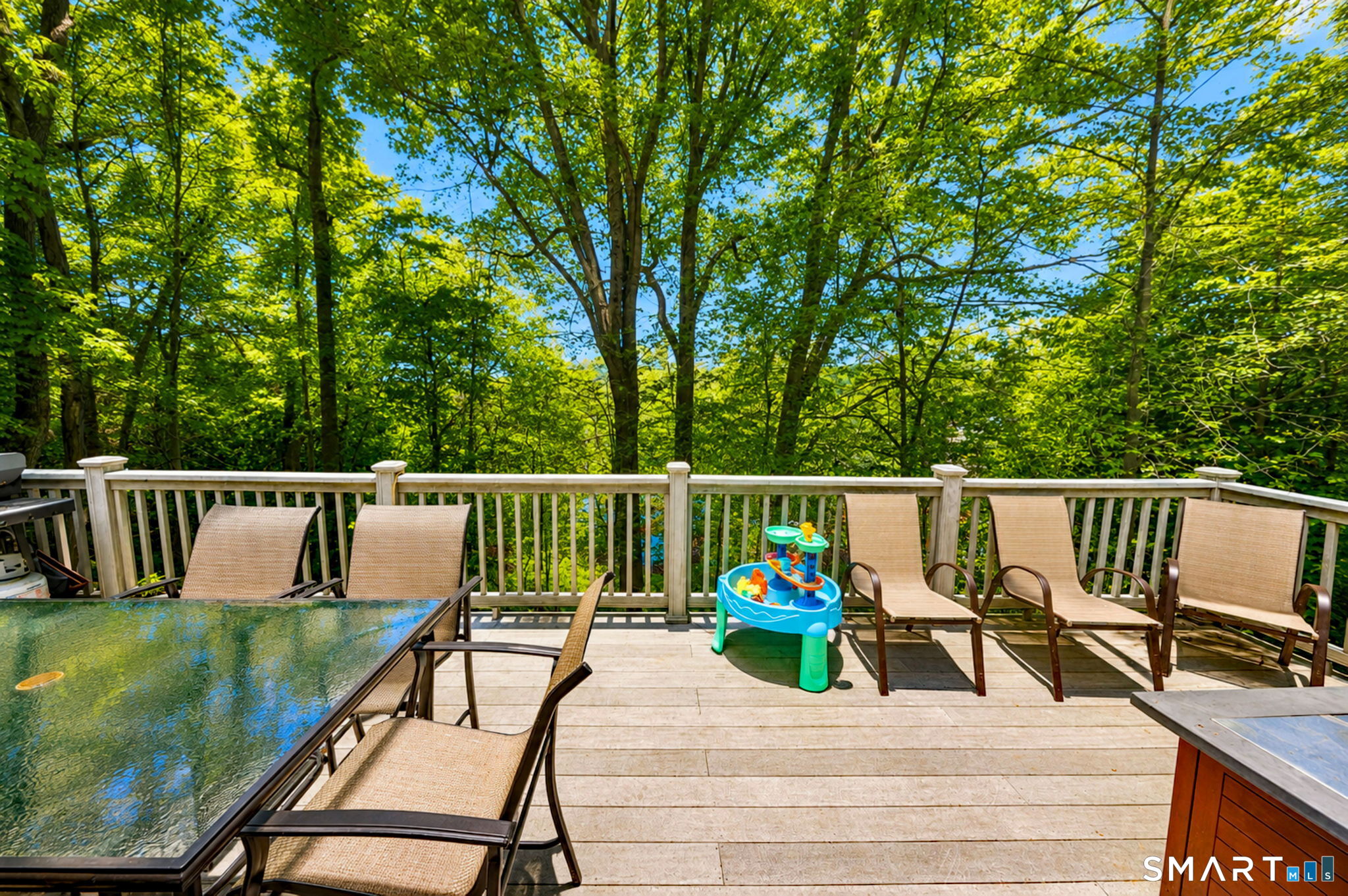 265 Shelter Rock Road Fairfield, CT 06825 - Photo 28 of 32