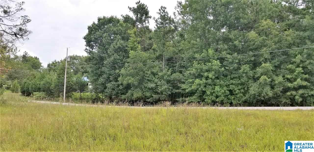 0 Briar Cliff Road, Unit 12 Rainbow City, AL 35906 - Photo 25 of 29