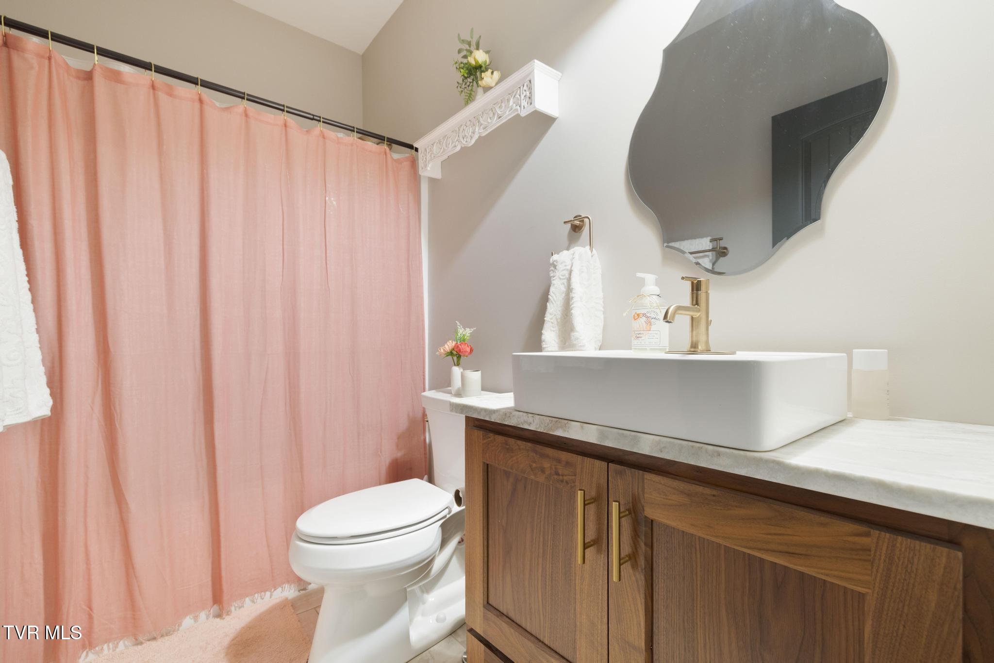 179 Taylortown Road Johnson City, TN 37601 - Photo 30 of 60 Full bathroom 1