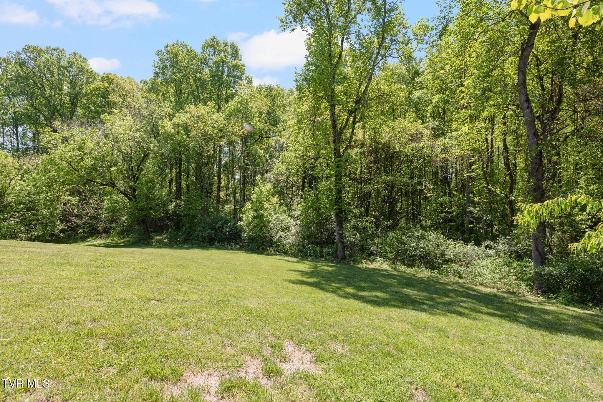 179 Taylortown Road Johnson City, TN 37601 - Photo 53 of 60 Partially wooded back yard
