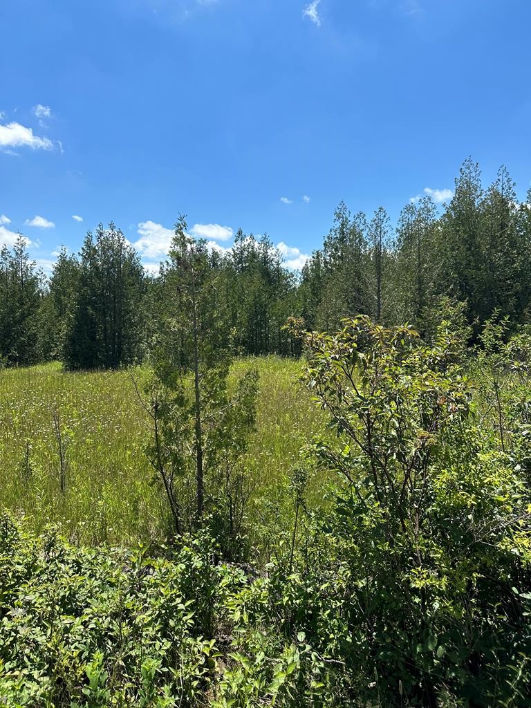 Lot #2 Cedar Ridge Road Sister Bay, WI 54234 - Photo 1 of 6 Main View