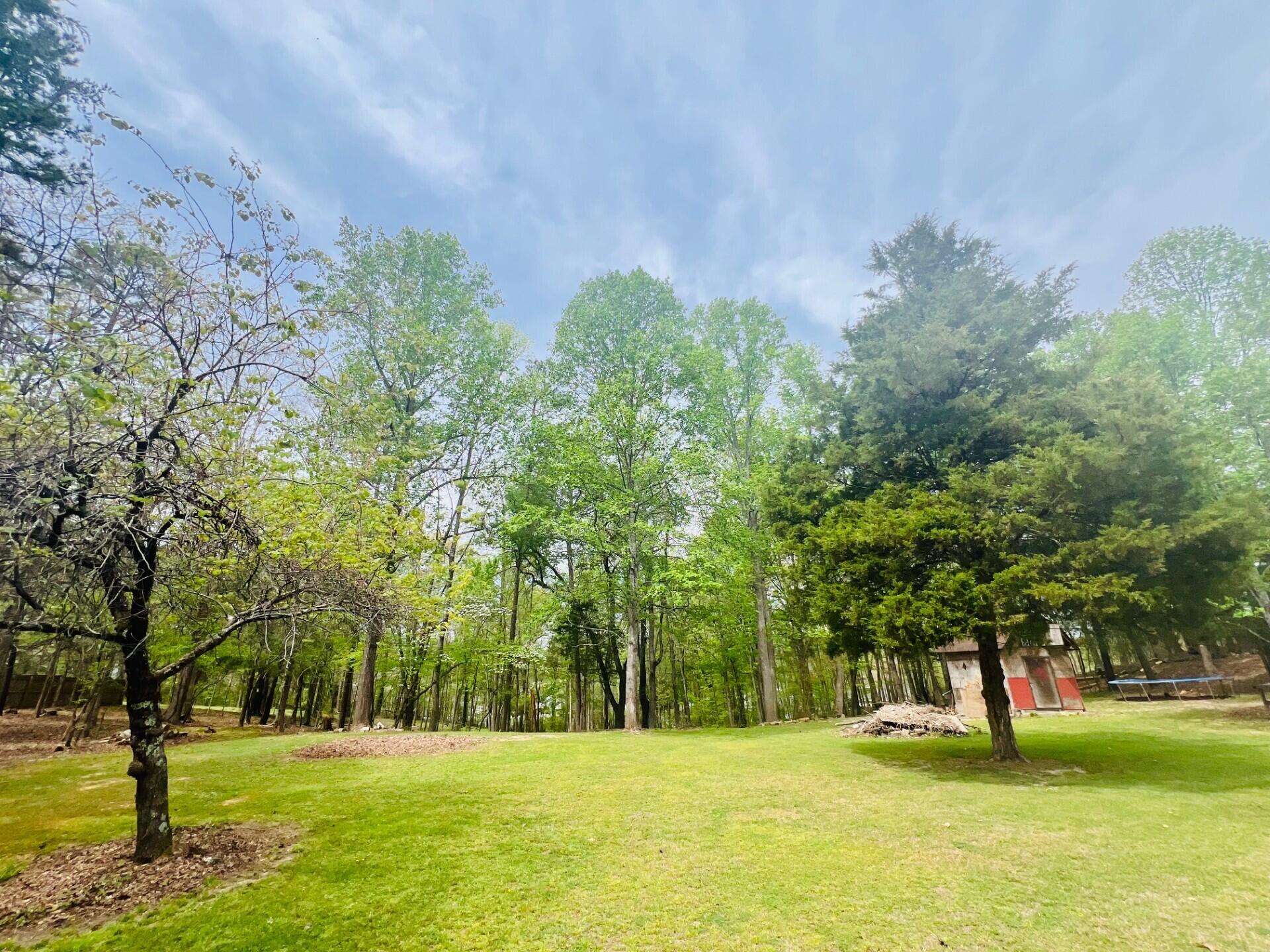 12615 Civic Club Road Soddy-Daisy, TN 37379 - Photo 5 of 106 Civic club yard April 2026 1