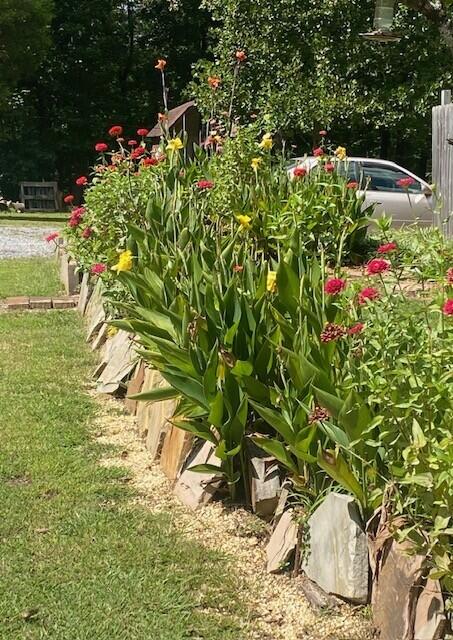 12615 Civic Club Road Soddy-Daisy, TN 37379 - Photo 88 of 106 Civic spring flowers4