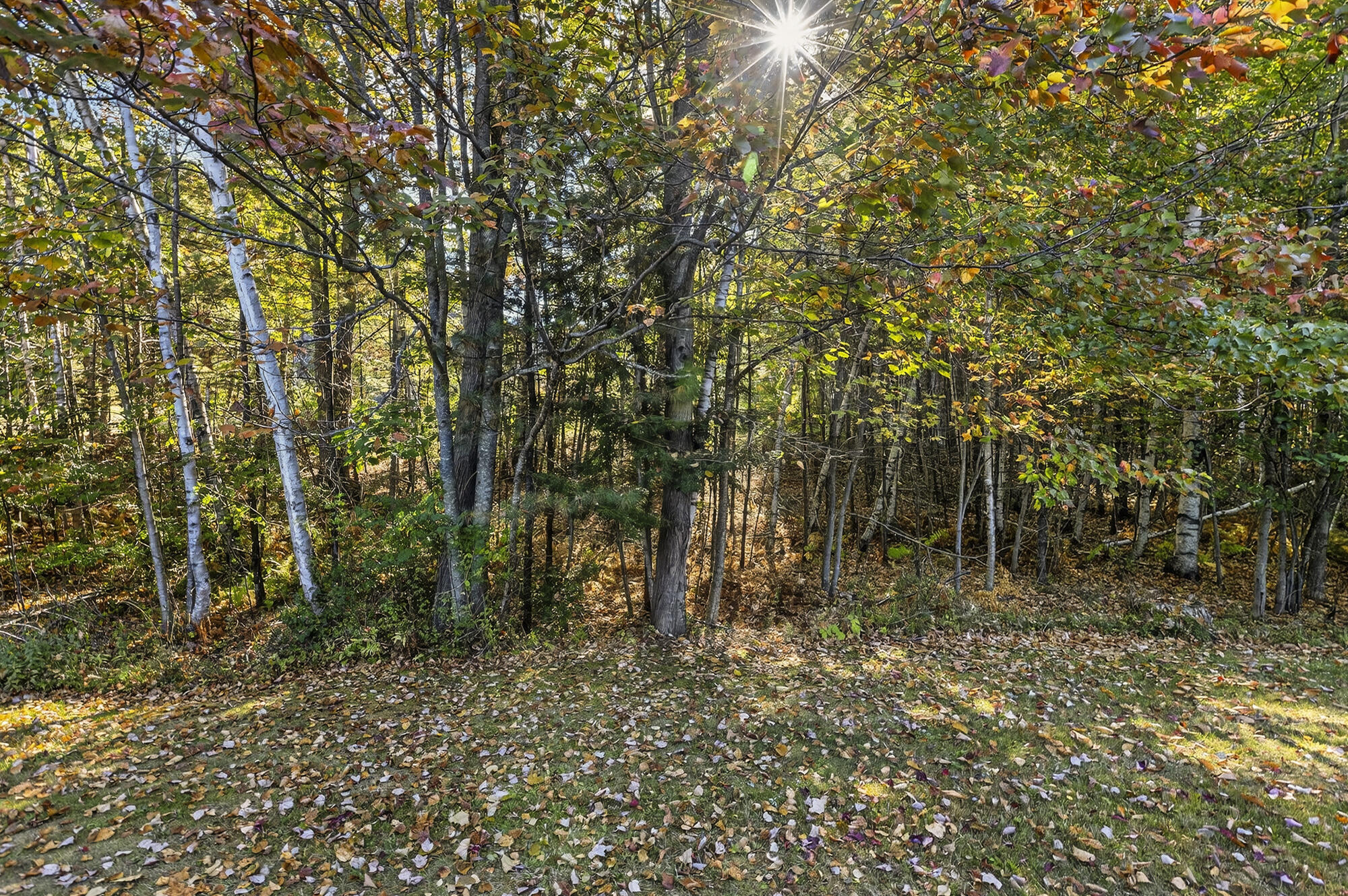 203 Bluff Road, Unit 13 Yarmouth, ME 04096 - Photo 37 of 41 35_203 Bluff Rd._W5