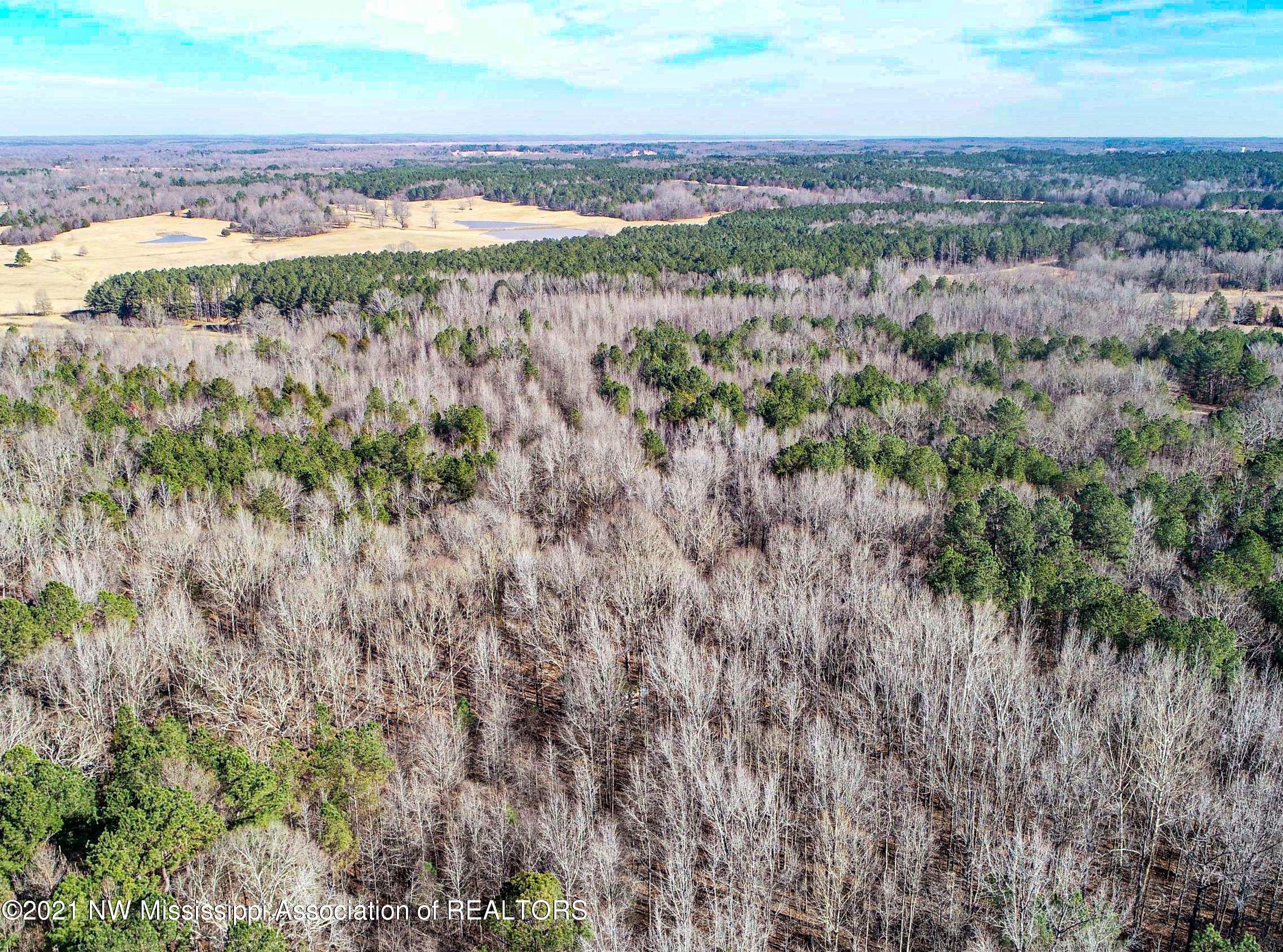 257 John Branch Road Batesville, MS 38606 - Photo 13 of 68 DCIM\101MEDIA\DJI_0274.JPG