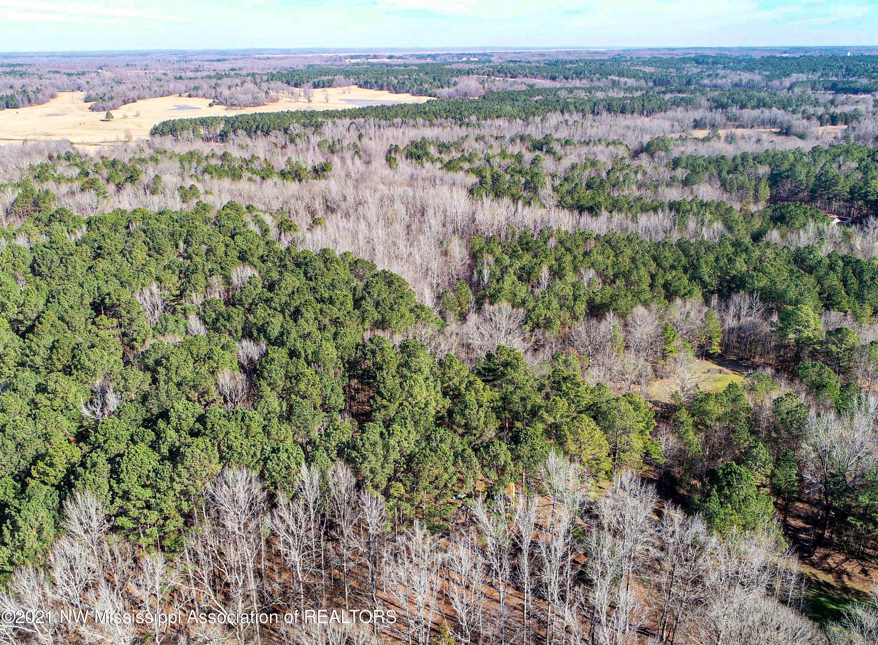 257 John Branch Road Batesville, MS 38606 - Photo 15 of 68 DCIM\101MEDIA\DJI_0276.JPG