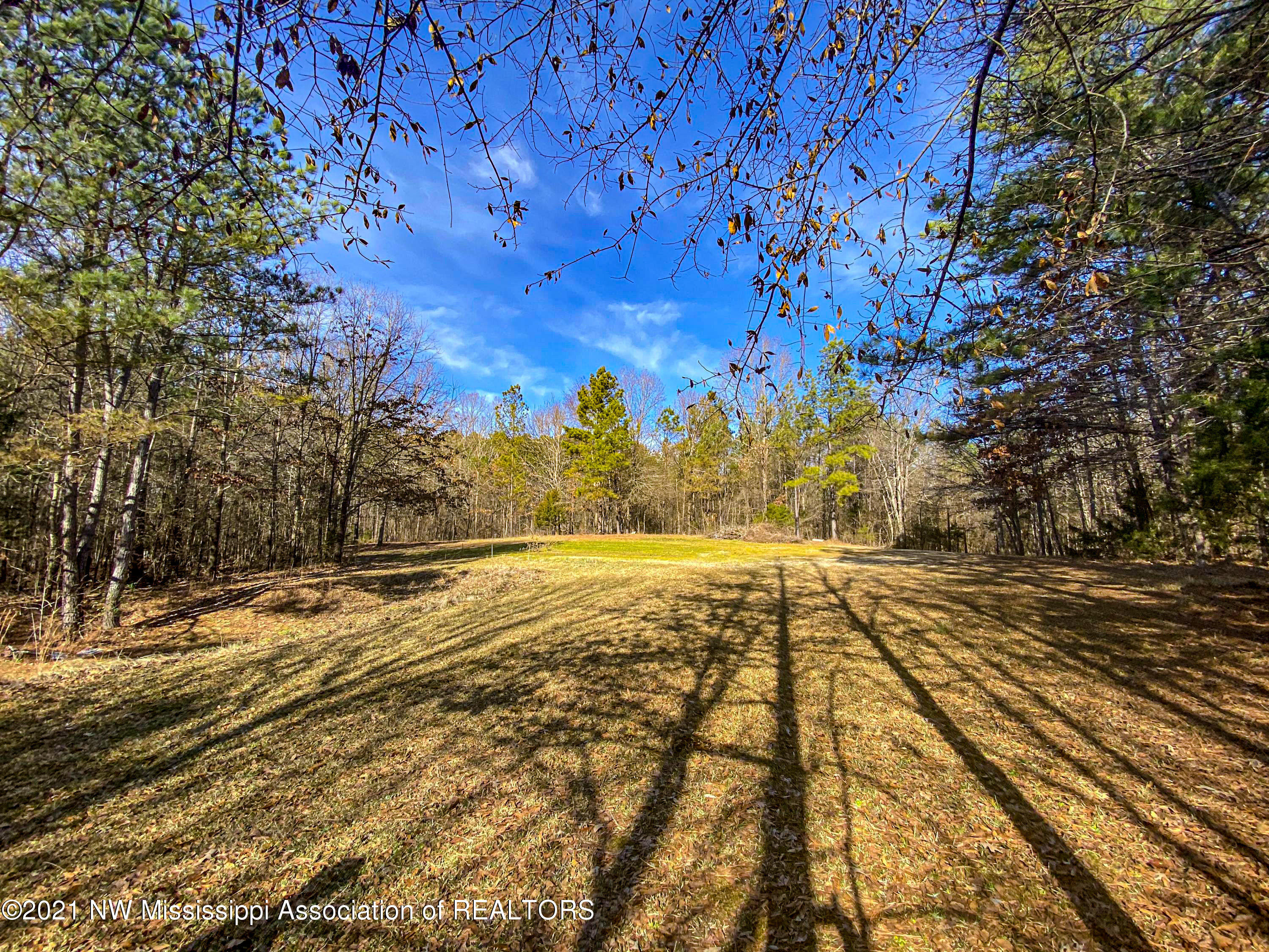 257 John Branch Road Batesville, MS 38606 - Photo 62 of 68 verd79