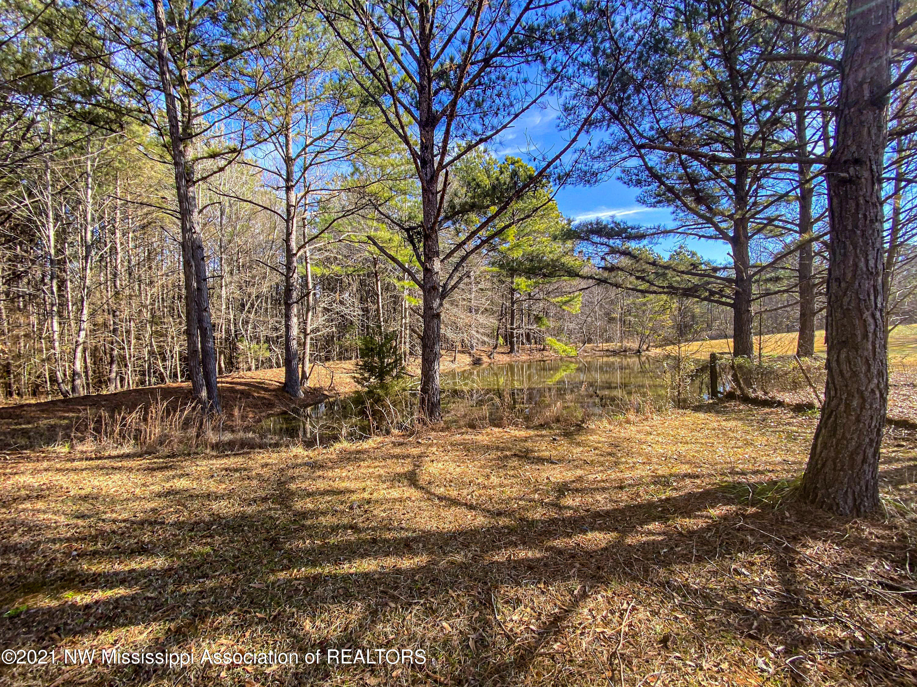257 John Branch Road Batesville, MS 38606 - Photo 63 of 68 verd80