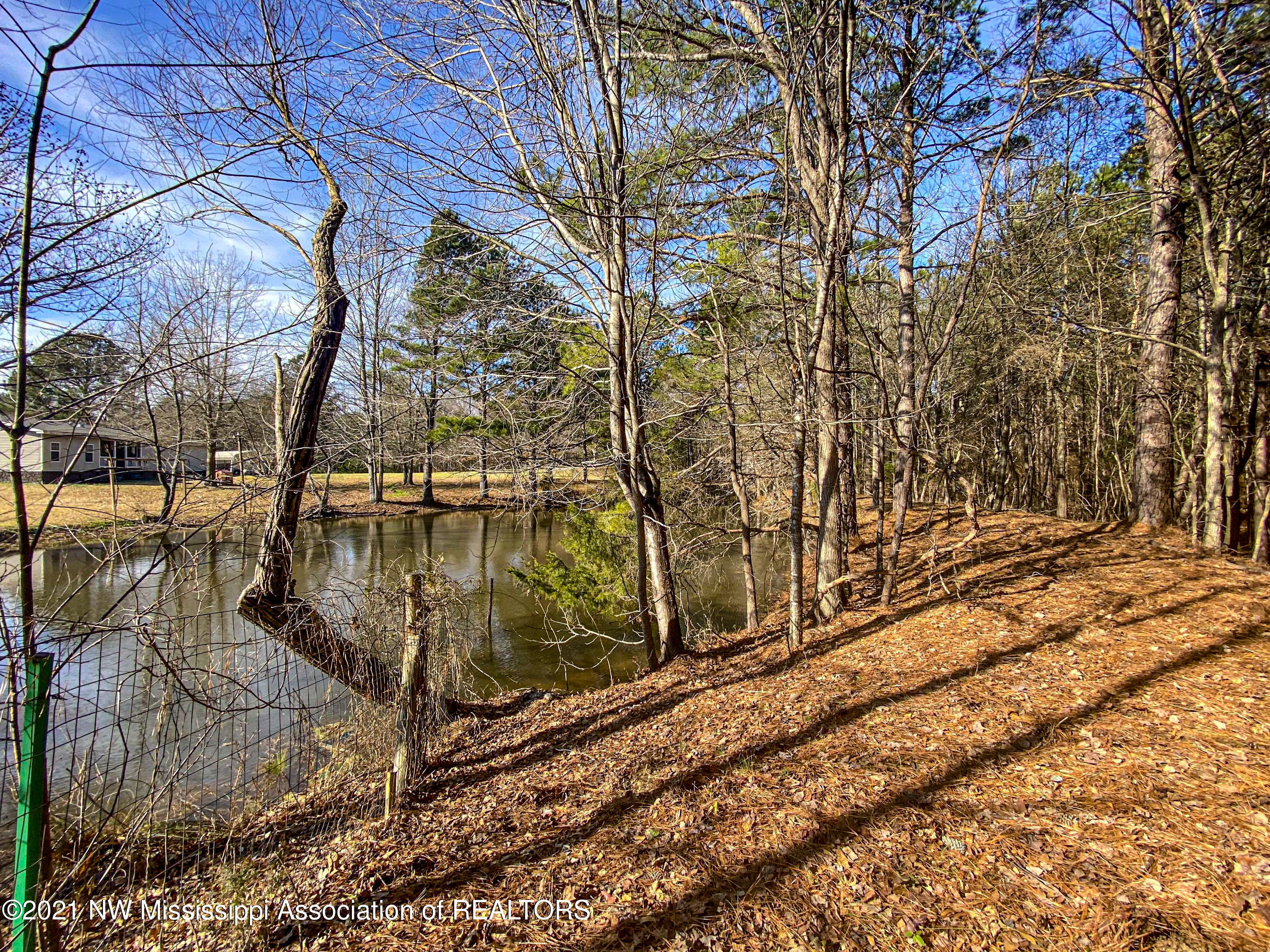 257 John Branch Road Batesville, MS 38606 - Photo 64 of 68 verd82
