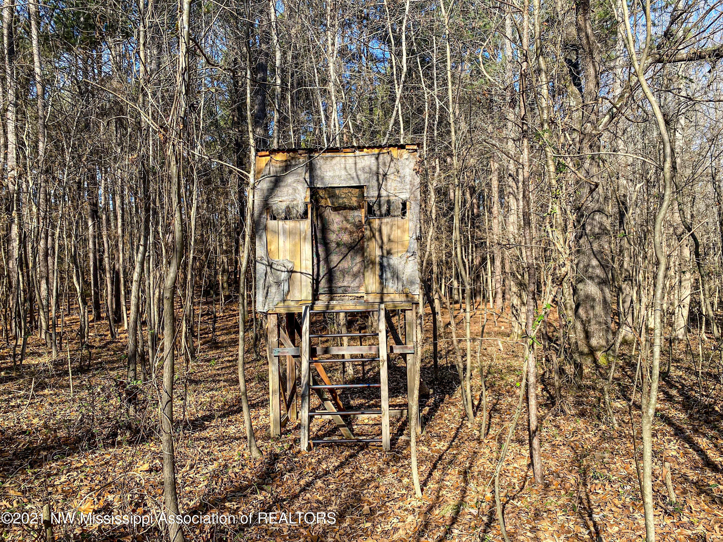 257 John Branch Road Batesville, MS 38606 - Photo 65 of 68 verd83