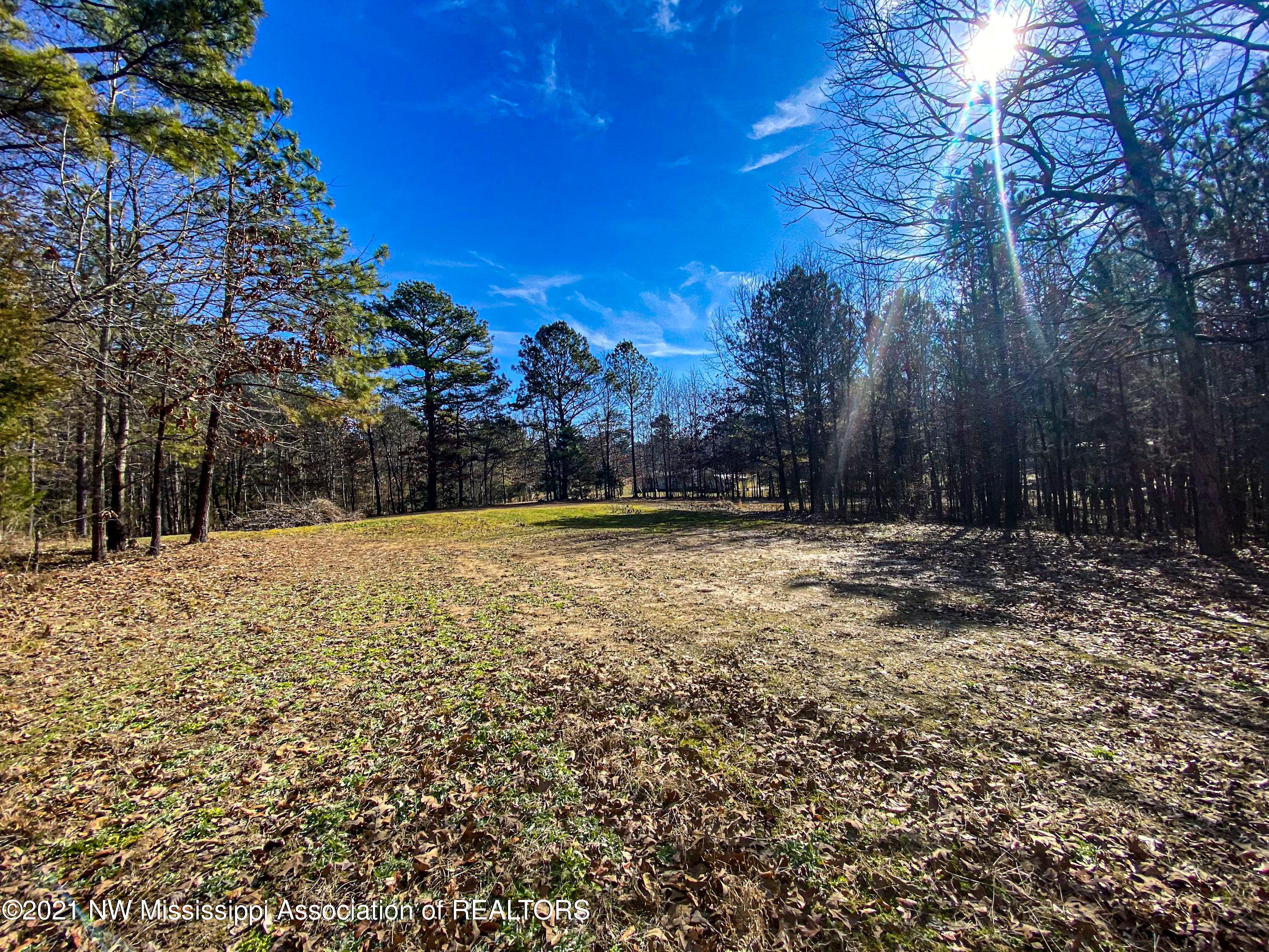 257 John Branch Road Batesville, MS 38606 - Photo 66 of 68 verd86