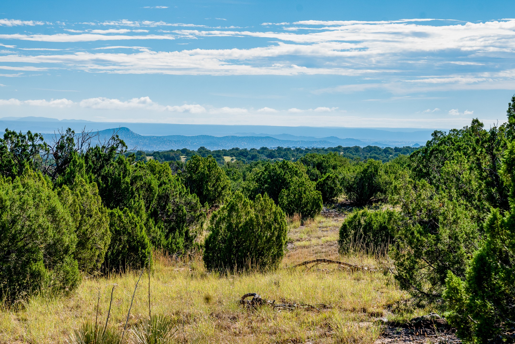 95 Grenfell Ranch Road Cerrillos, NM 87010 - Photo 8 of 47
