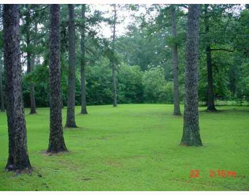 51559 River Ridge Drive Independence, LA 70443 - Photo 8 of 8 Gallery Image 8