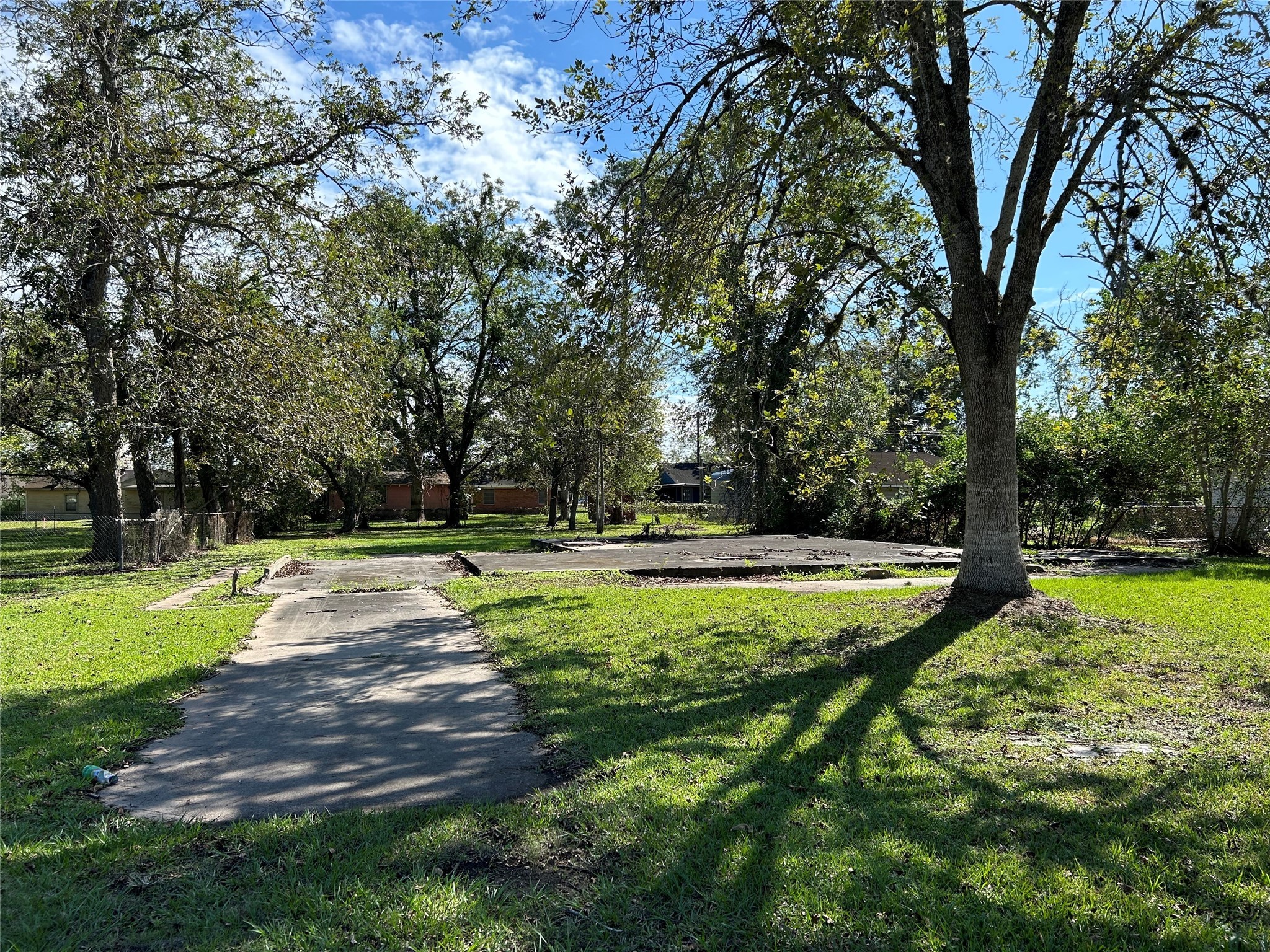 1106 Earley Street Sweeny, TX 77480 - Photo 3 of 3 a view of a backyard with large trees