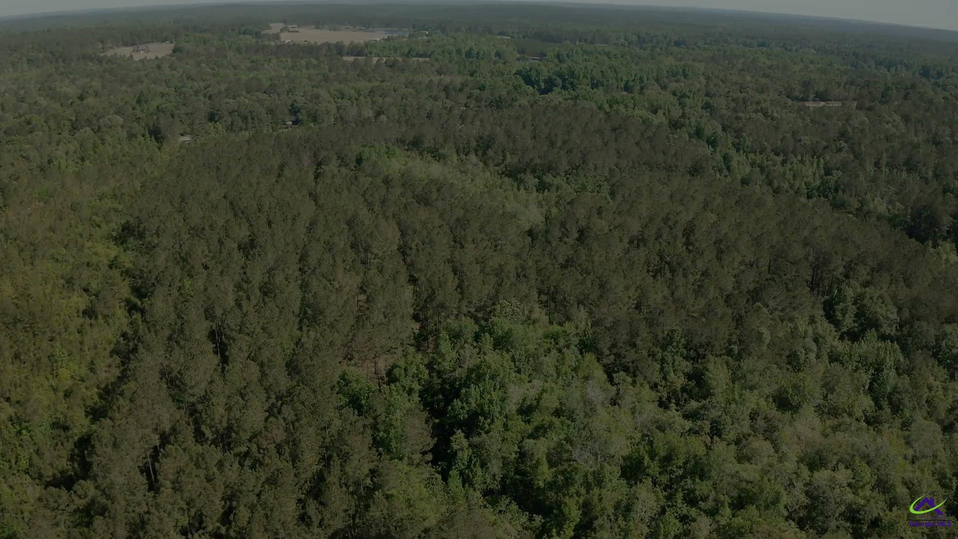 Carl Sutton Road Lizella, GA 31052 - Photo 23 of 23