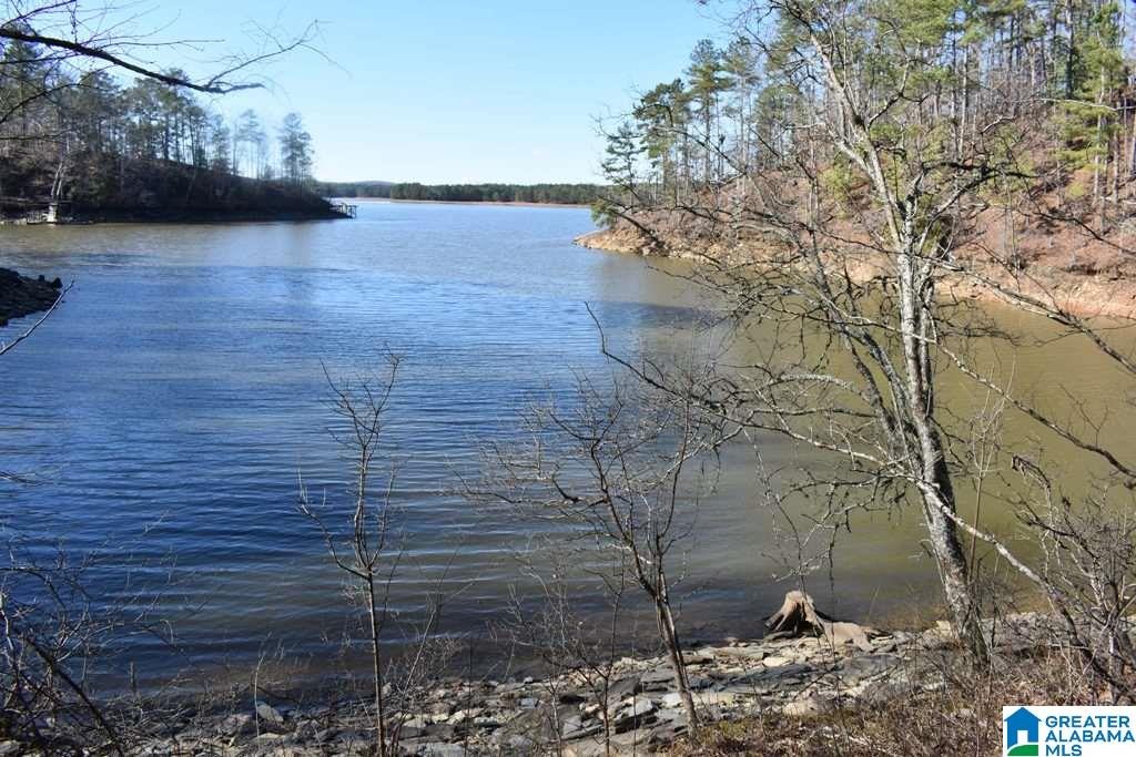 Lot 150 County Road 804, Unit 150 Wedowee, AL 36278 - Photo 2 of 8