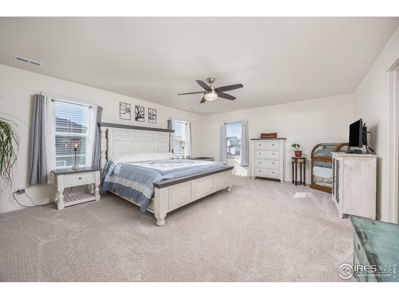 3725 Catmint Street Wellington, CO 80549 - Photo 22 of 44 Gigantic Primary suite with ensuite bathroom, walk-in closet, and plenty of natural light.