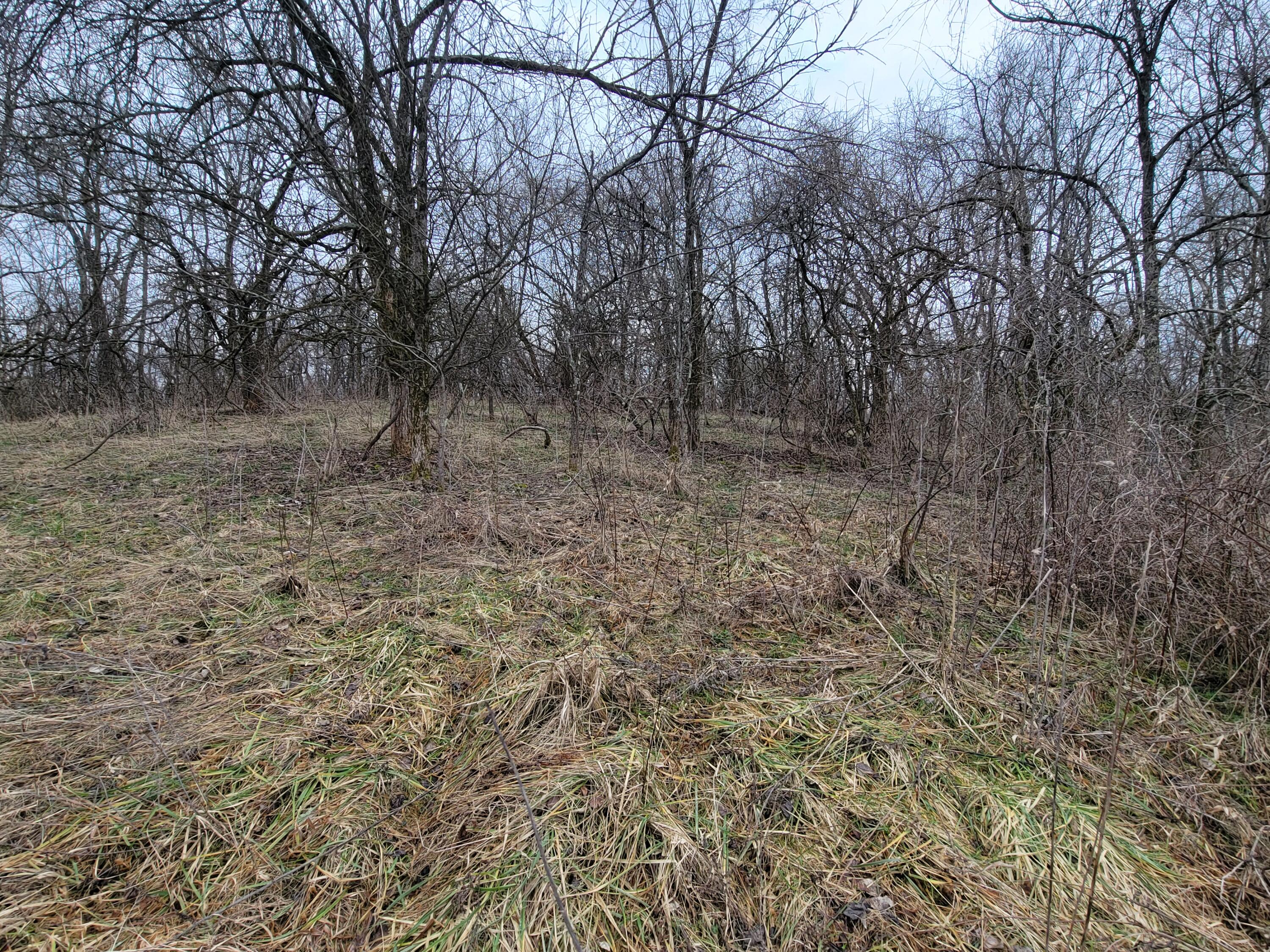 0 Convict Road Sharpsburg, KY 40374 - Photo 9 of 17 1000029234