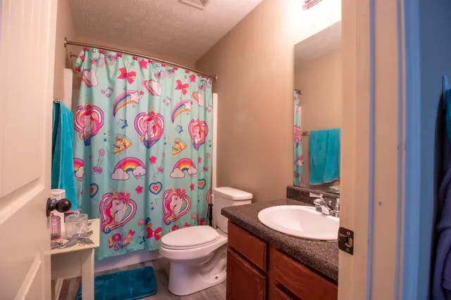 a bathroom with a sink toilet and shower curtain