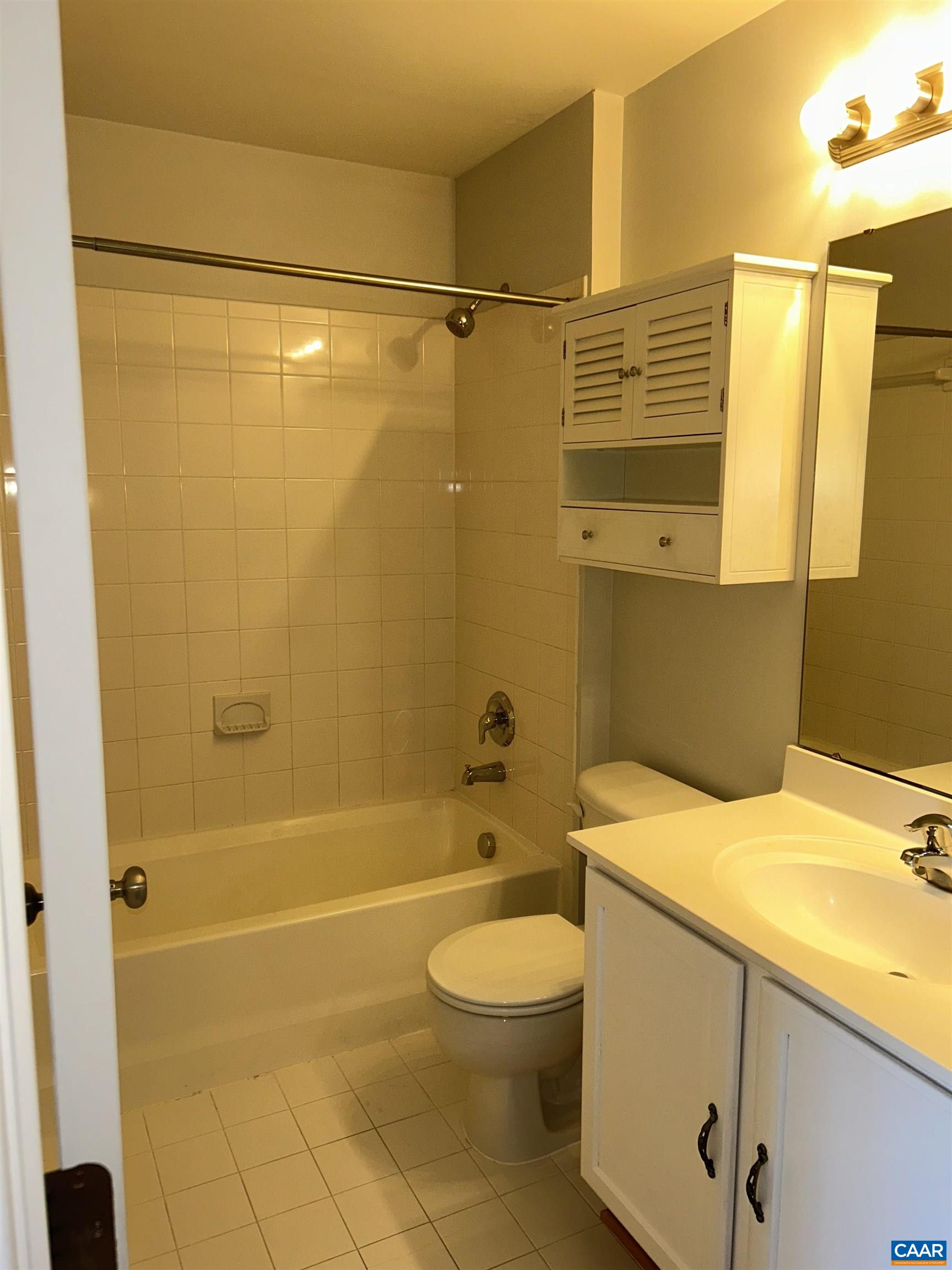 910 Rainier Road Charlottesville, VA 22903 - Photo 31 of 43 a bathroom with a sink a toilet and shower