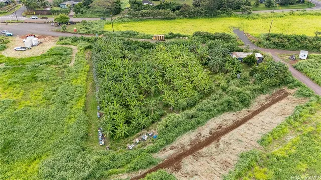a view of a garden with an ocean