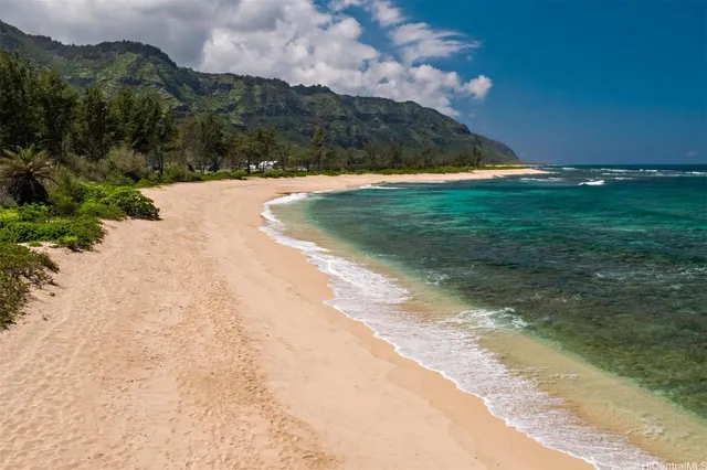 a view of a yard with an empty space