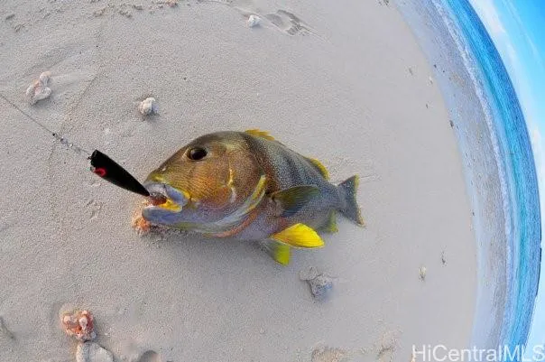 an aerial view of a swimming pool with chairs
