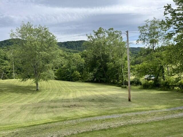 2463 Willow Bend Road Lindside, WV 24951 - Photo 44 of 75 Gallery Image 44