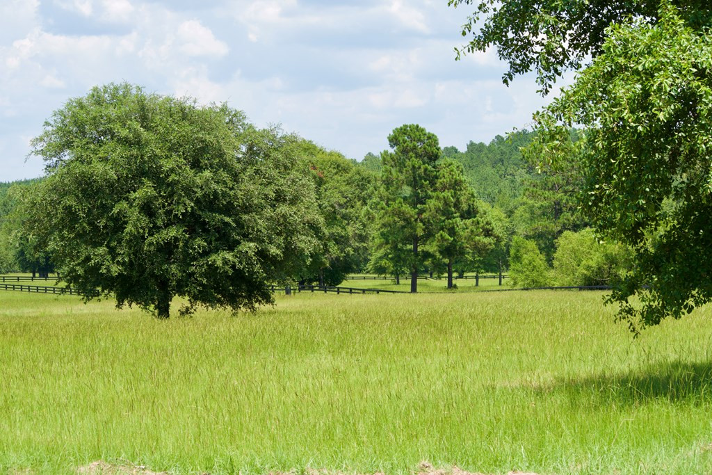 Lot 16 New Bridge Road Aiken, SC 29801 - Photo 4 of 10