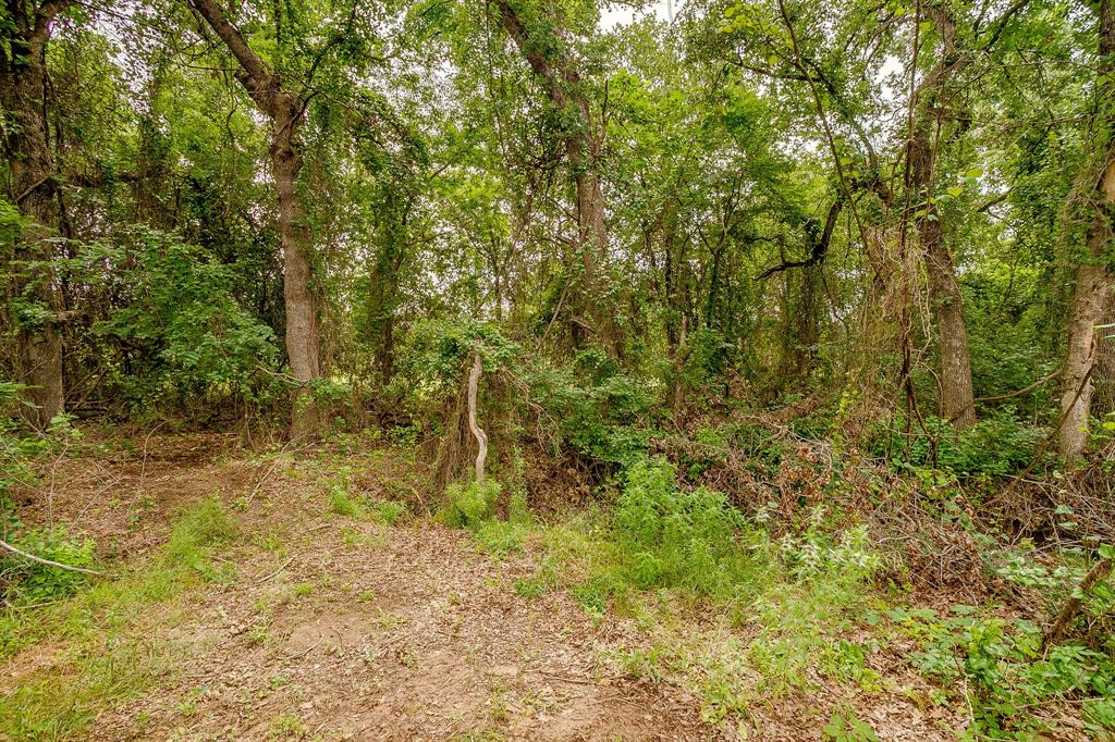 350 Red Top Road Poolville, TX 76487 - Photo 35 of 40