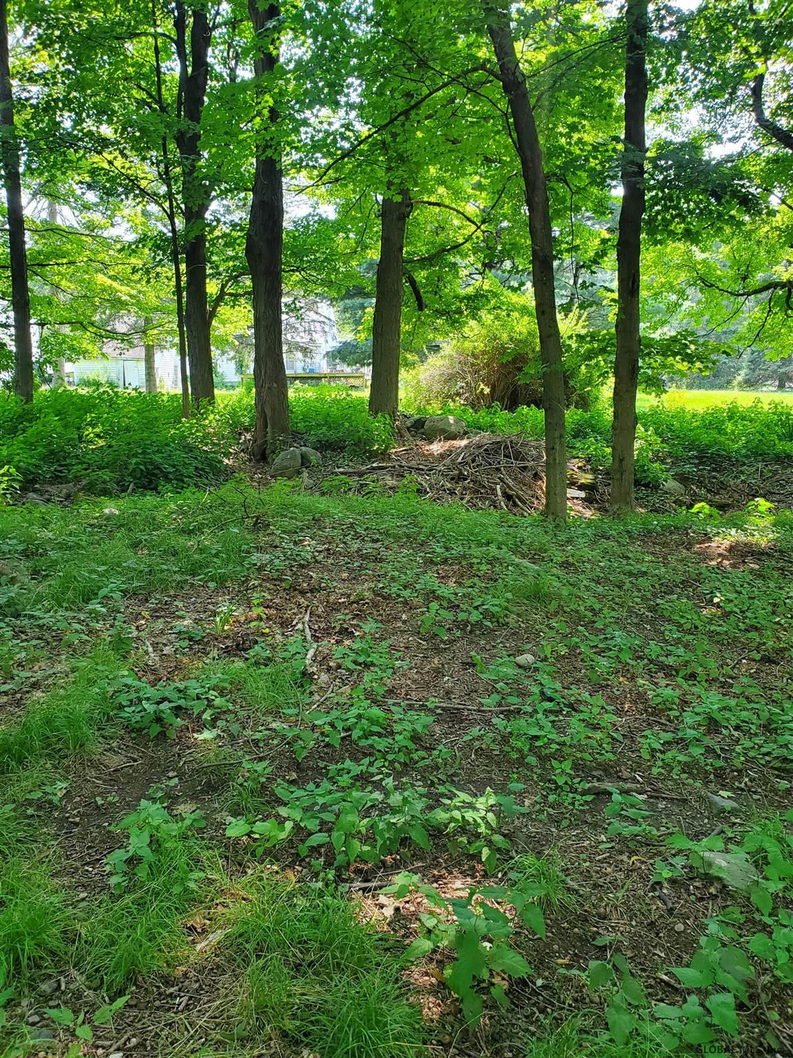 69 Plank Road Poestenkill, NY 12140 - Photo 7 of 32 Photo 7