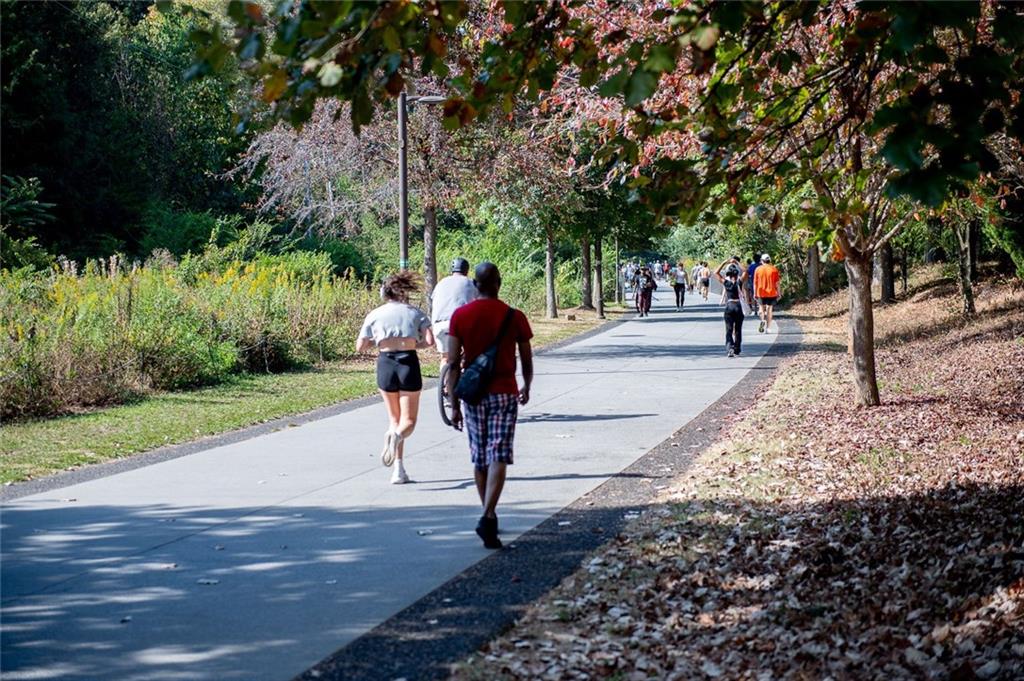 821 Ralph McGill Boulevard Northeast, Unit 2416 Atlanta, GA 30306 - Photo 40 of 44 a view of park with trees