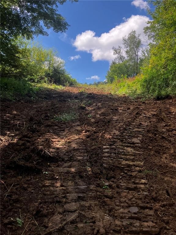 N3953-201 Bear Pen Road Arkansaw, WI 54721 - Photo 36 of 43