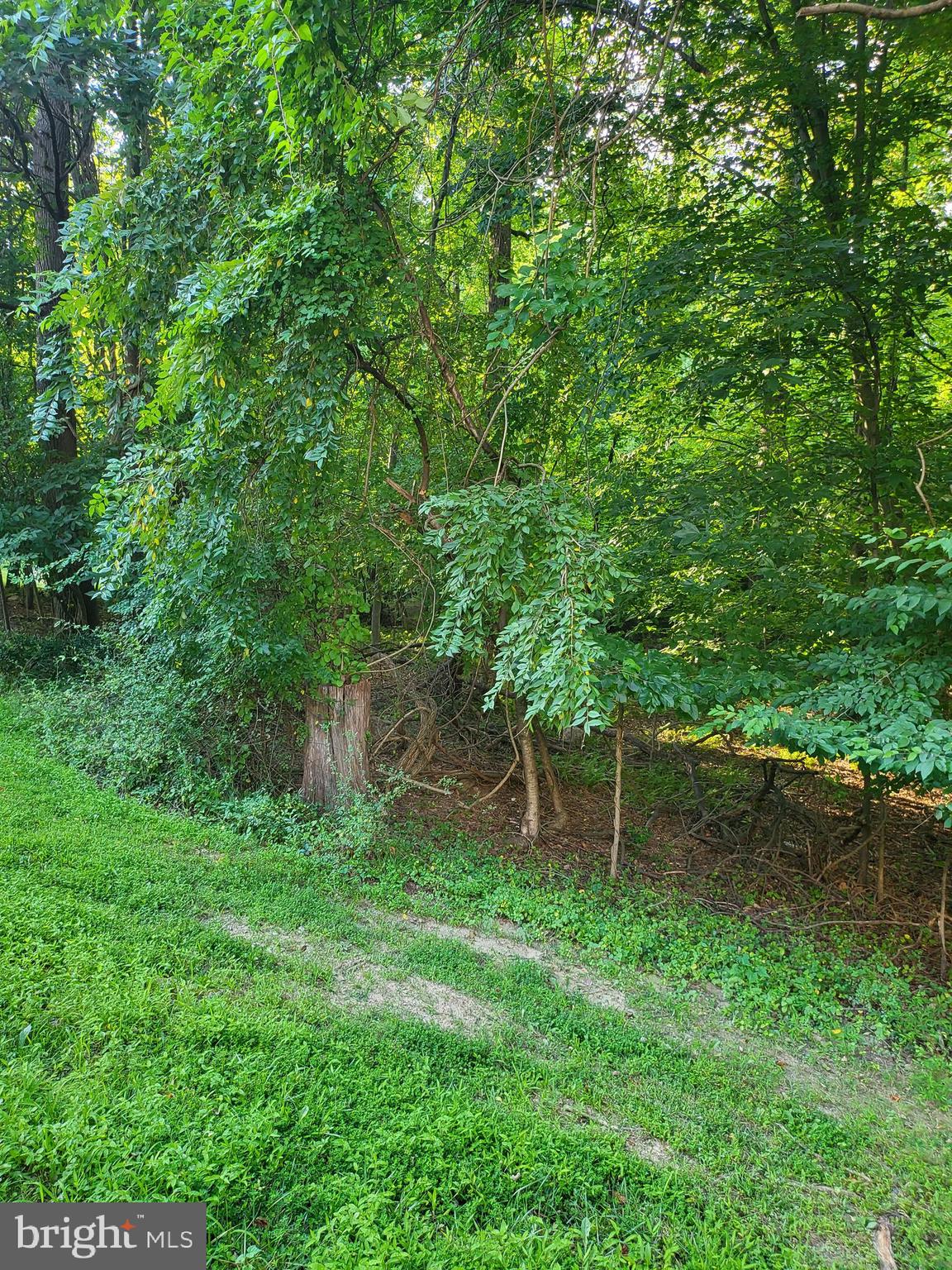 15135 Deer Valley Terrace Silver Spring, MD 20906 - Photo 26 of 28 WOODED BACKYARD
